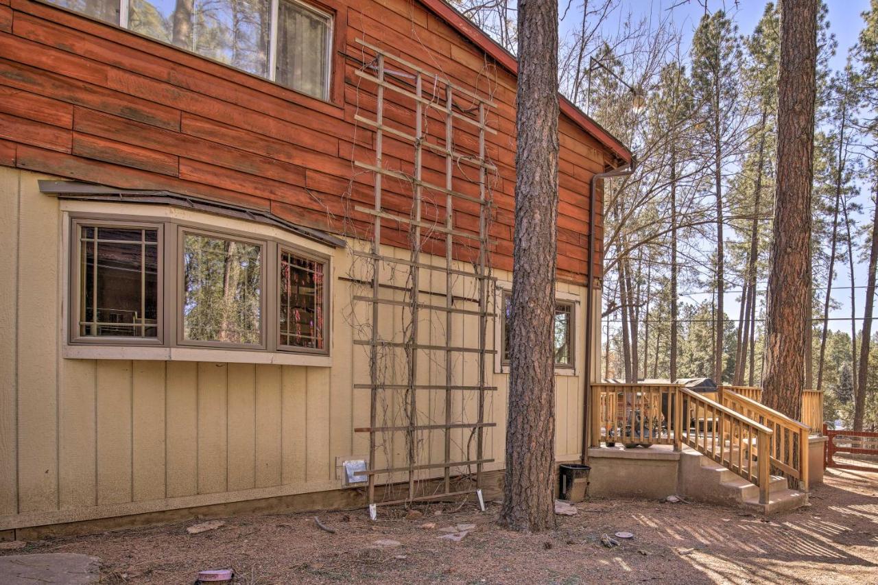 Dog-friendly Near Tonto National Forest!